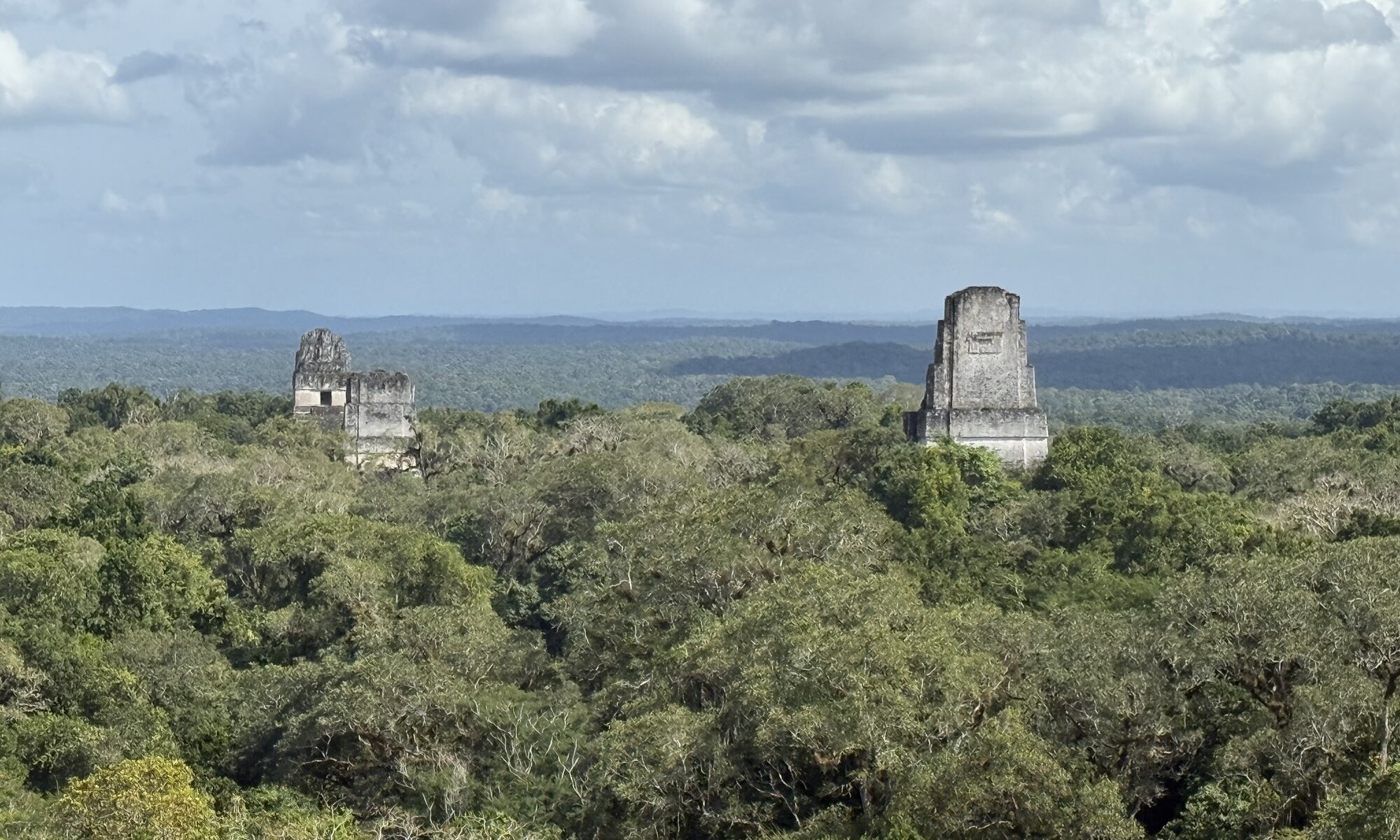 View from Templo IV, Parque Nacional, Tikal