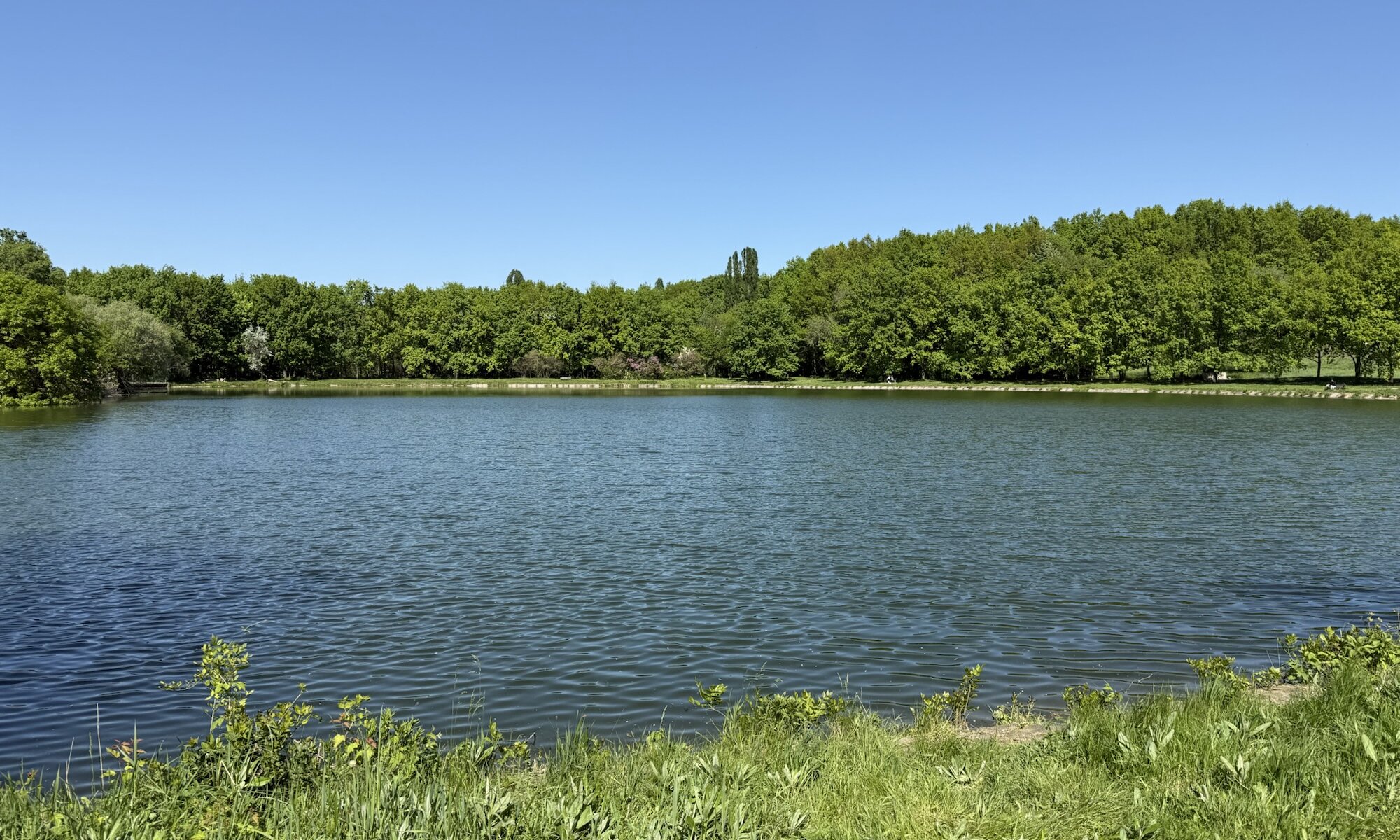 Grădina Botanică, Chișinău