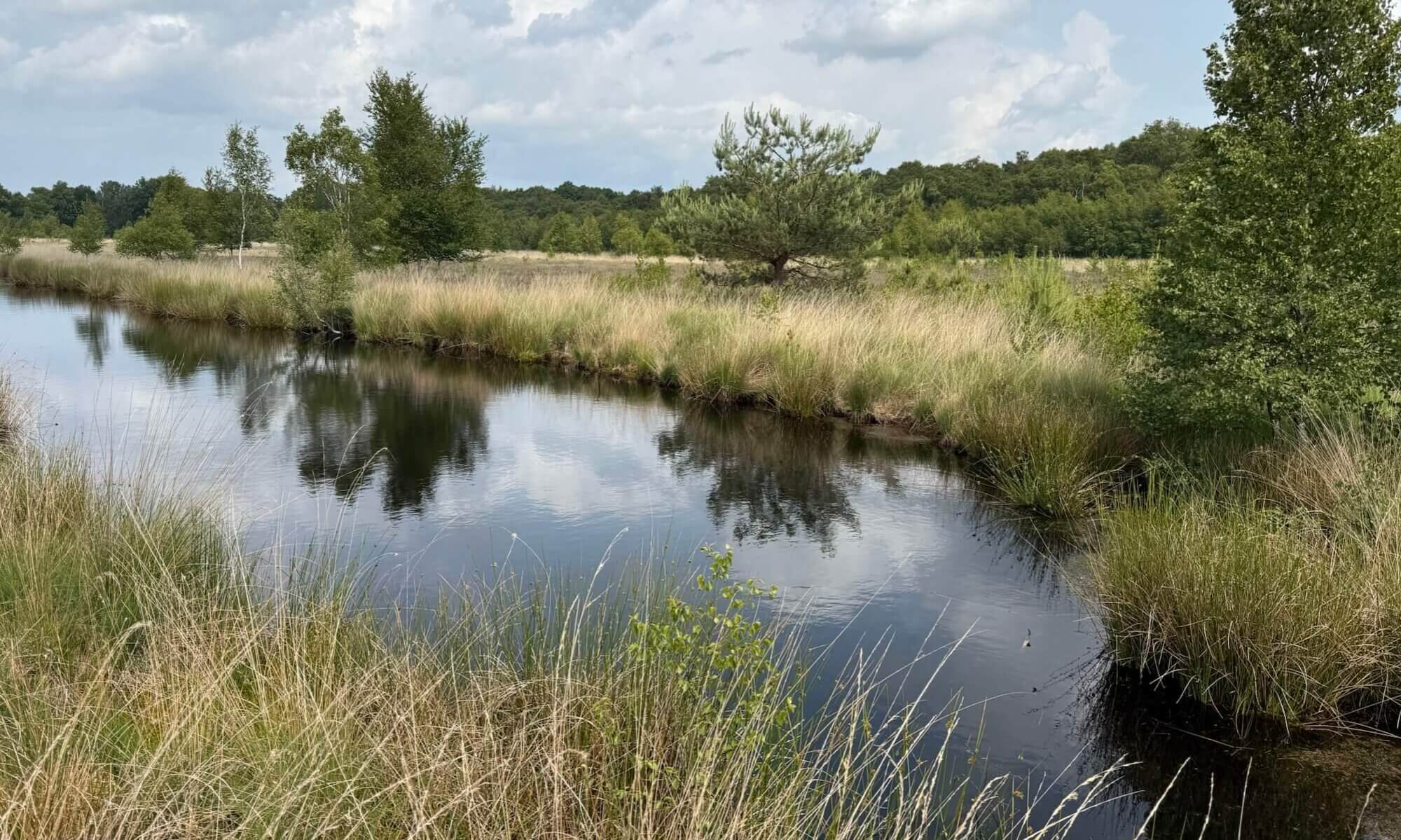 Moor, Esterwegen