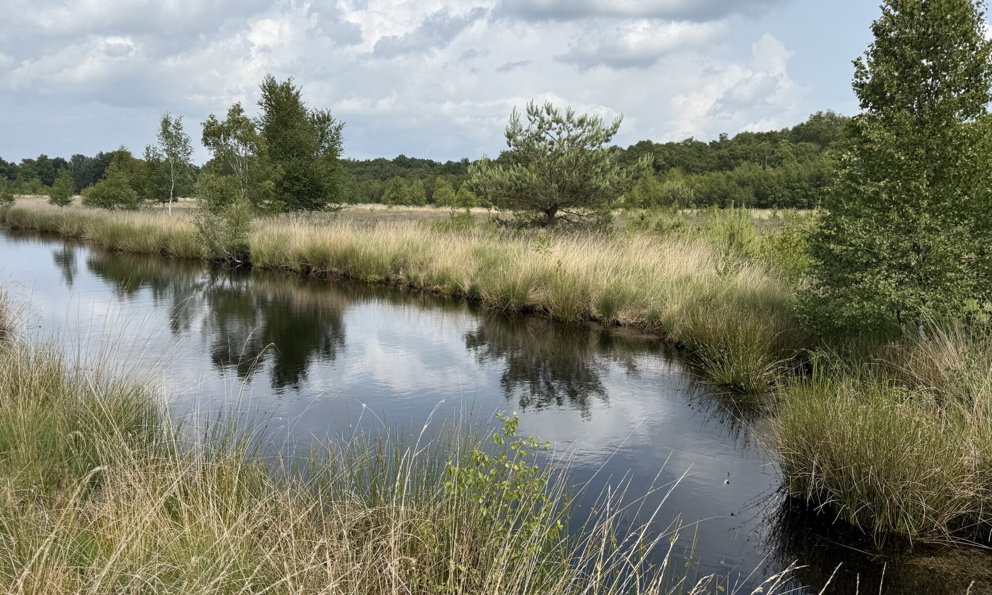 Moor, Esterwegen