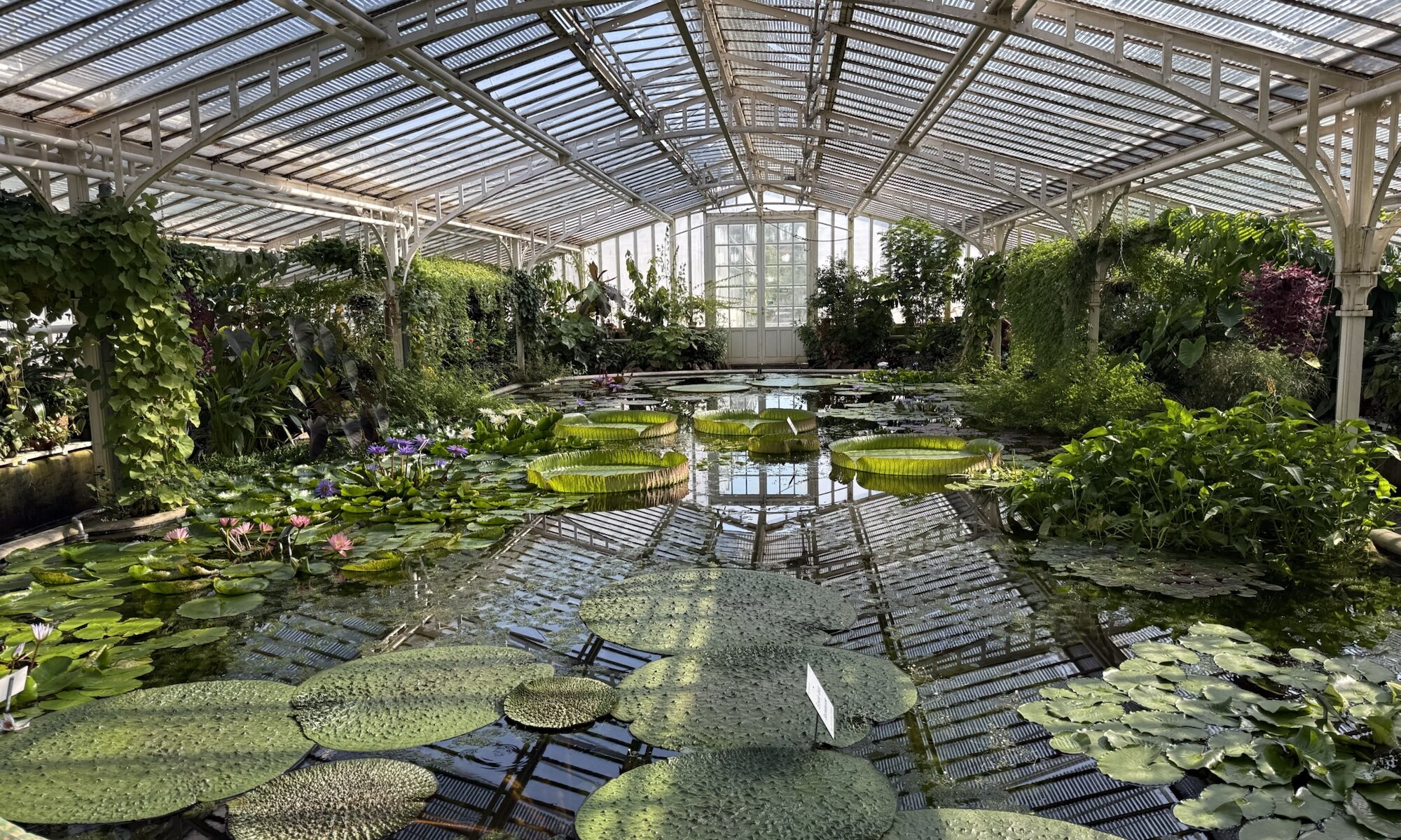 Botanischer Garten Nymphenburg, München