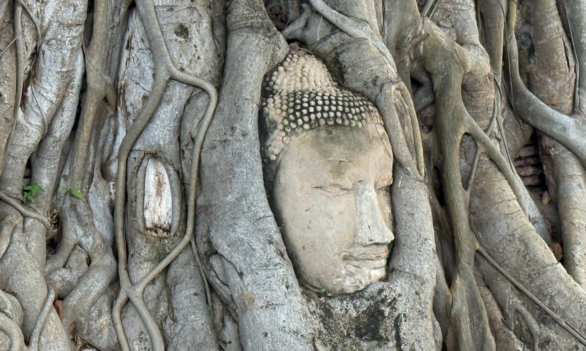 Wat Mahathat, พระนครศรีอยุธยา