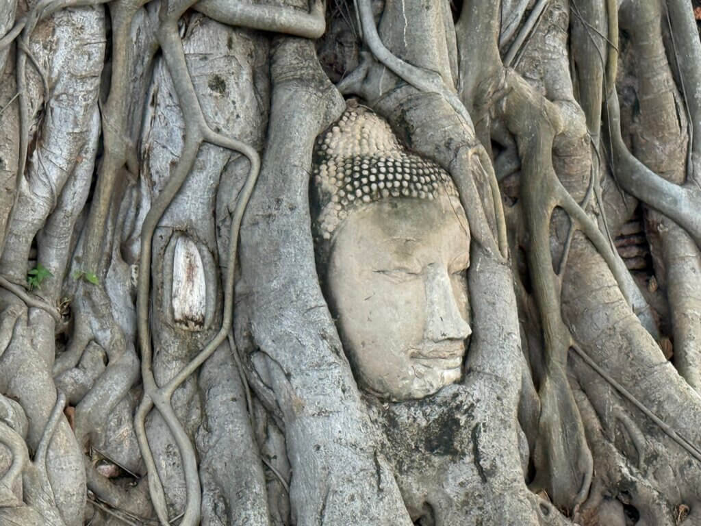 Wat Mahathat, พระนครศรีอยุธยา