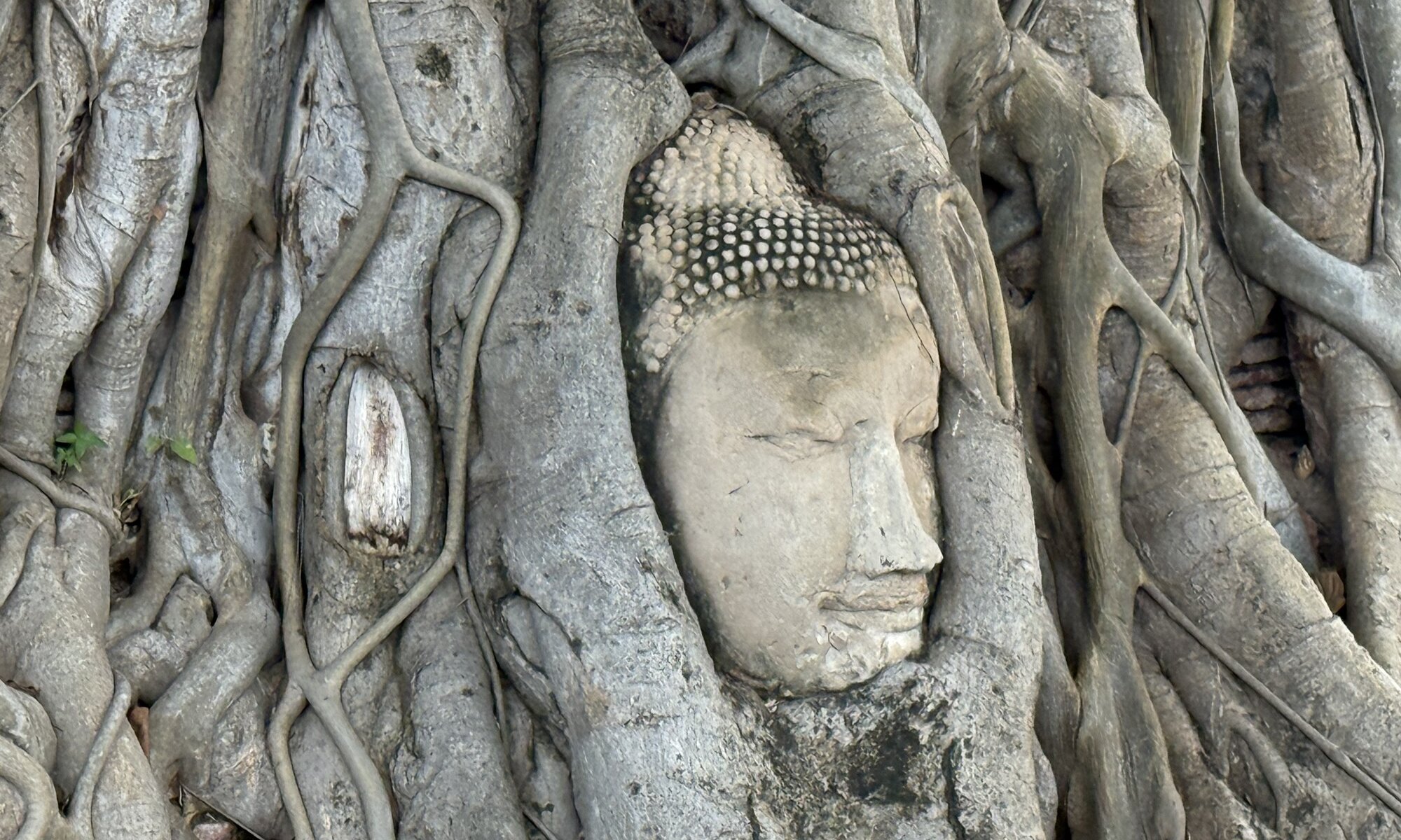 Wat Mahathat, พระนครศรีอยุธยา