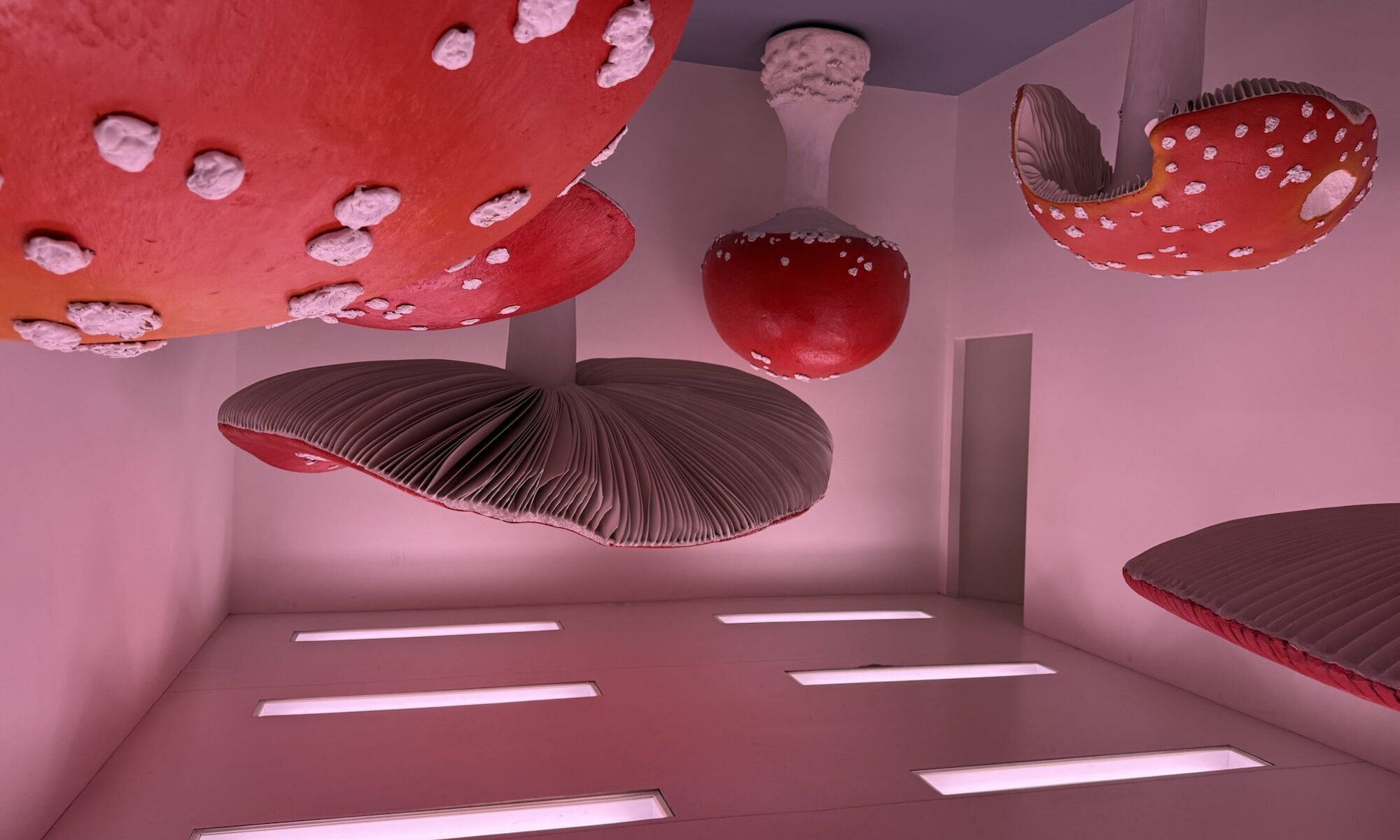 Fondazione Prada, Milano