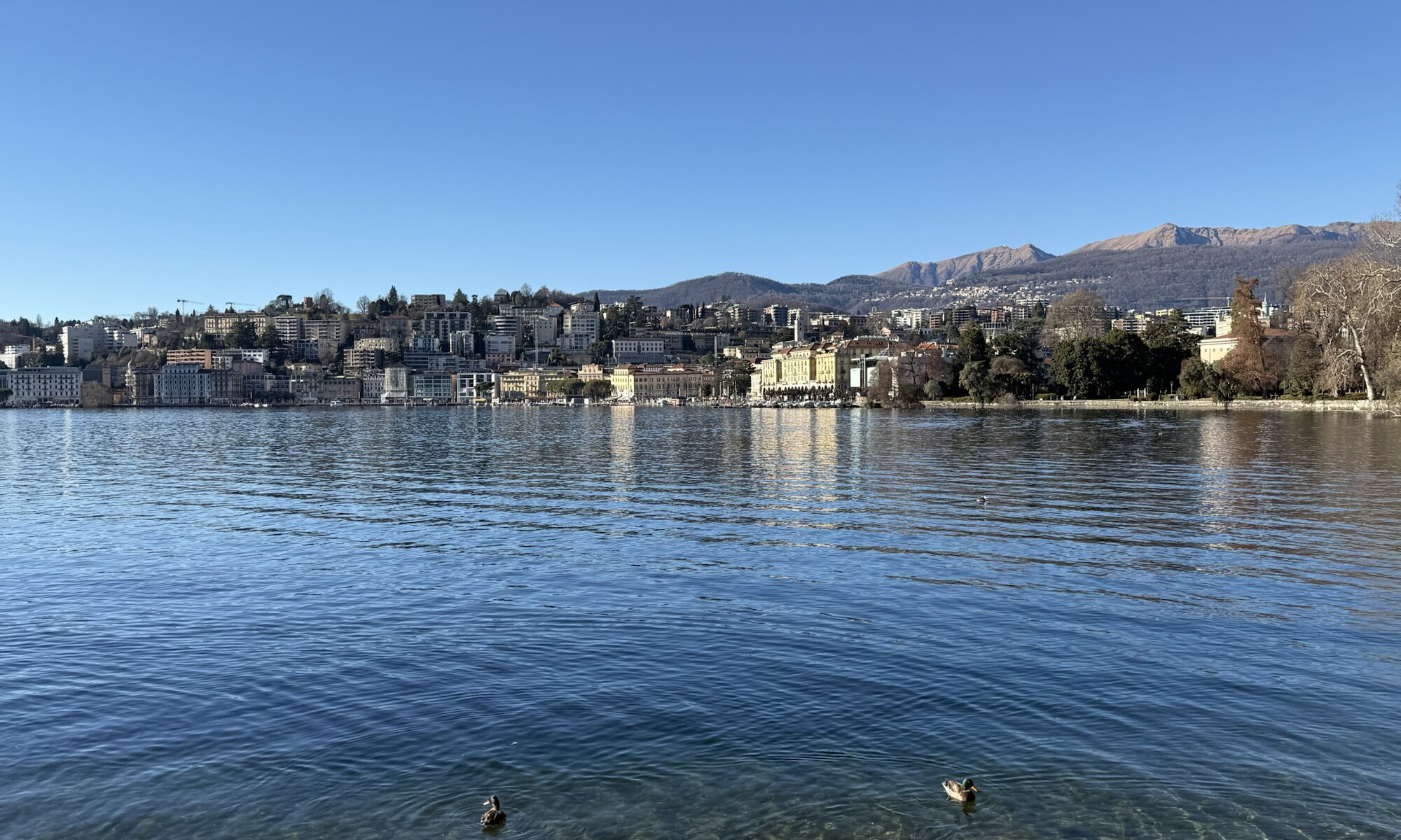 Lago, Lugano