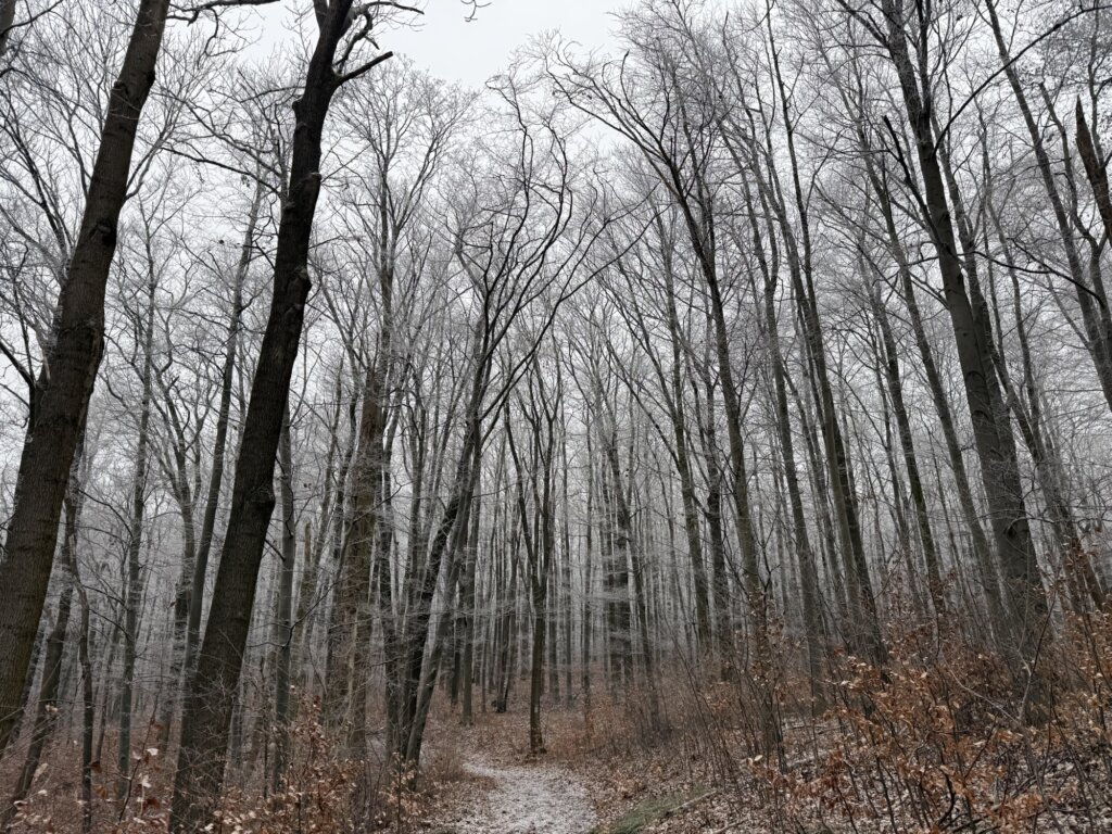 Iberg, Heiligenstadt