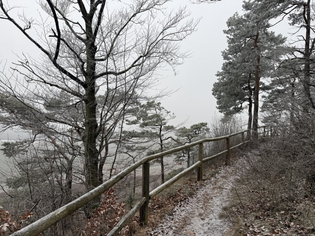 Maienwand, Heiligenstadt