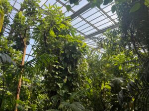 Botanischer Garten, Erlangen