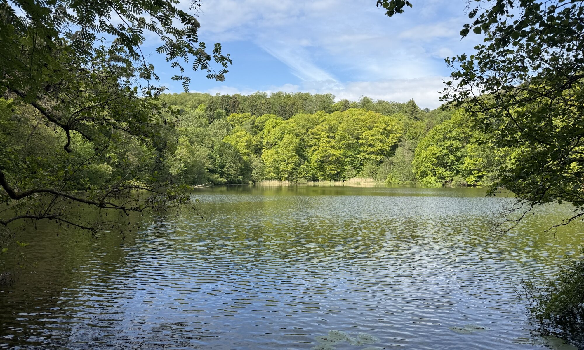Bergsee, Delliehausen, Uslar