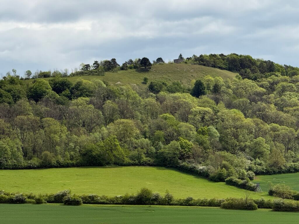 Sohnreywarte high above Üssinghausen, Hardegsen