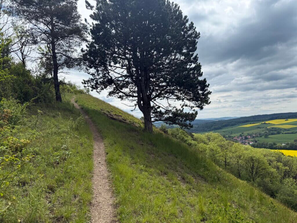 Ascent to Sohnreywarte, Moringen