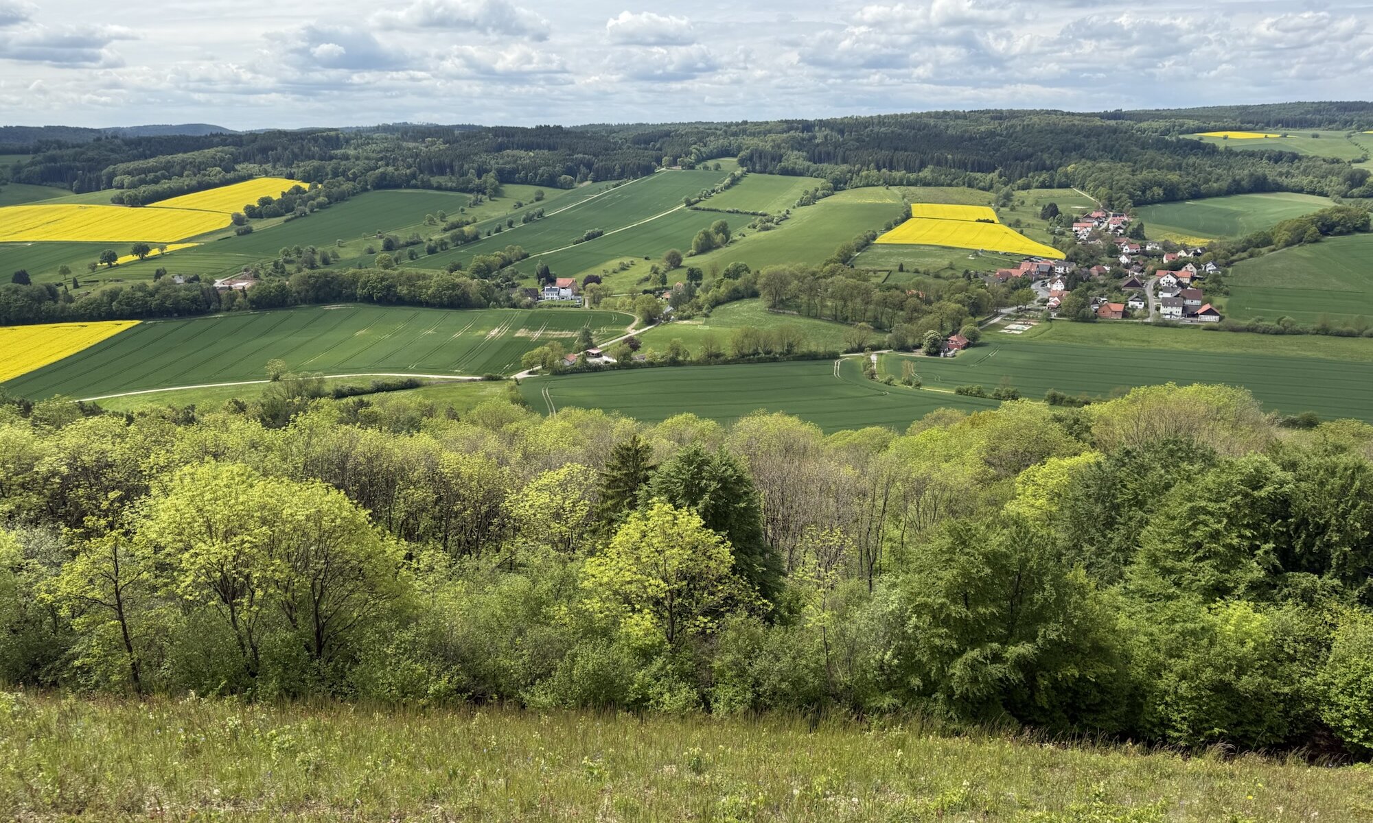 View from Sohnreywarte, Moringen