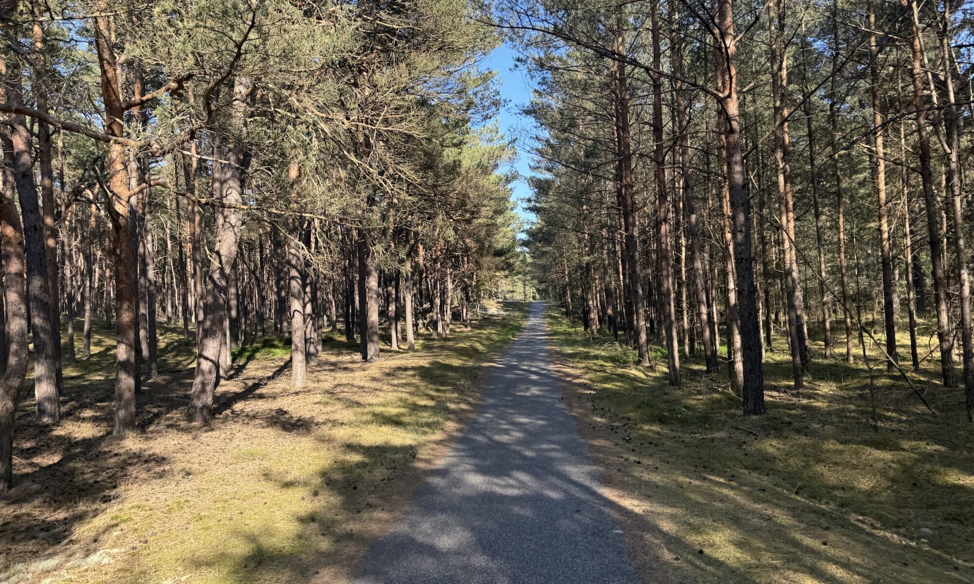 Cycling on Rügen, Germany