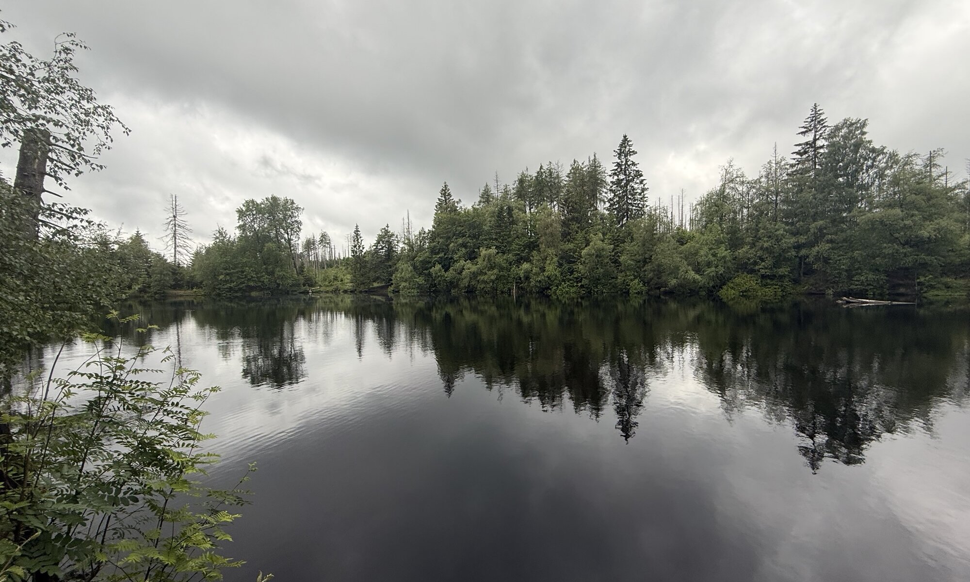 Silberteich, Braunlage