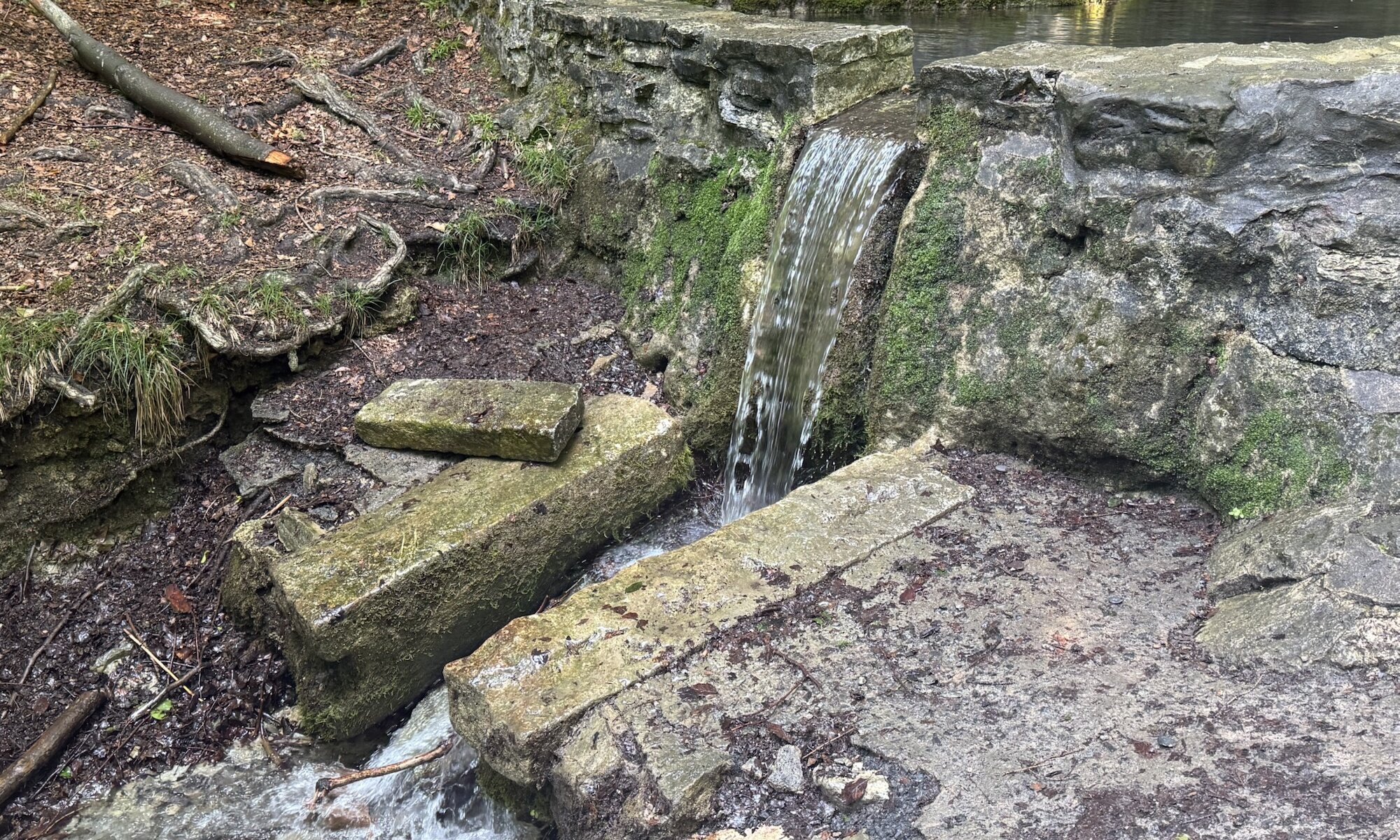 Ducksteinquelle, Moringen