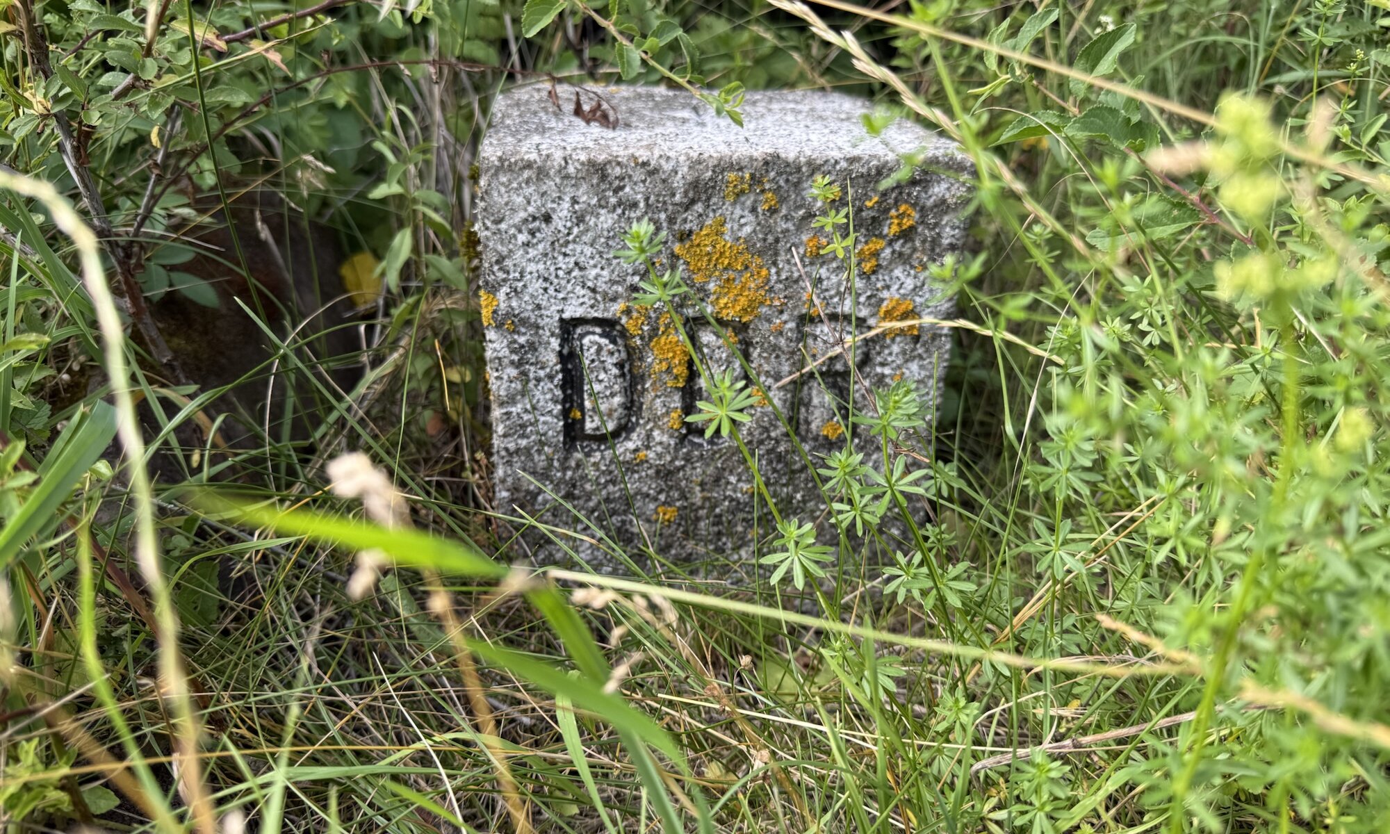 DDR-Grenzstein, Friedland/Hohengandern