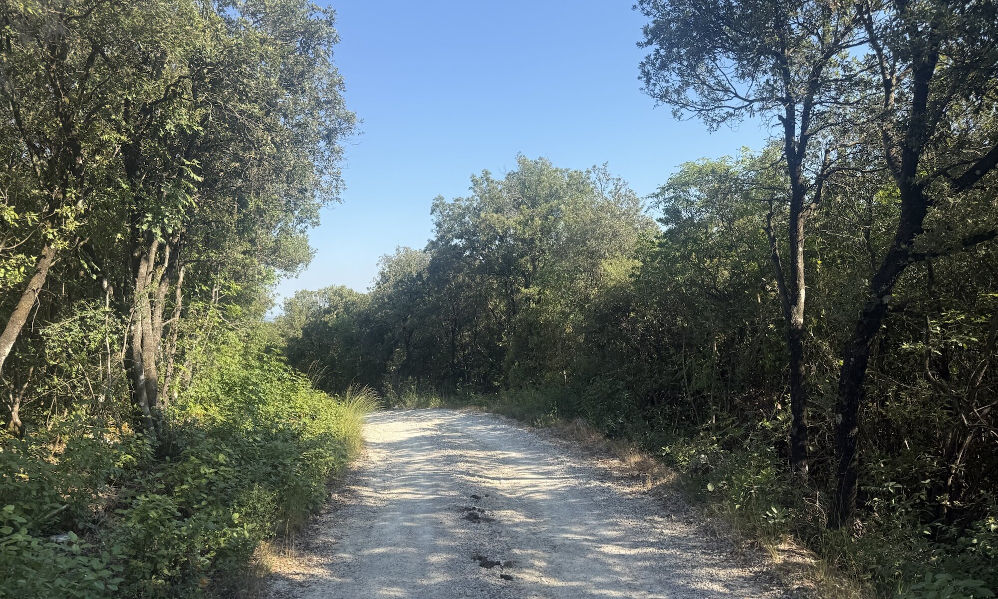 Strada biancha, Toscana