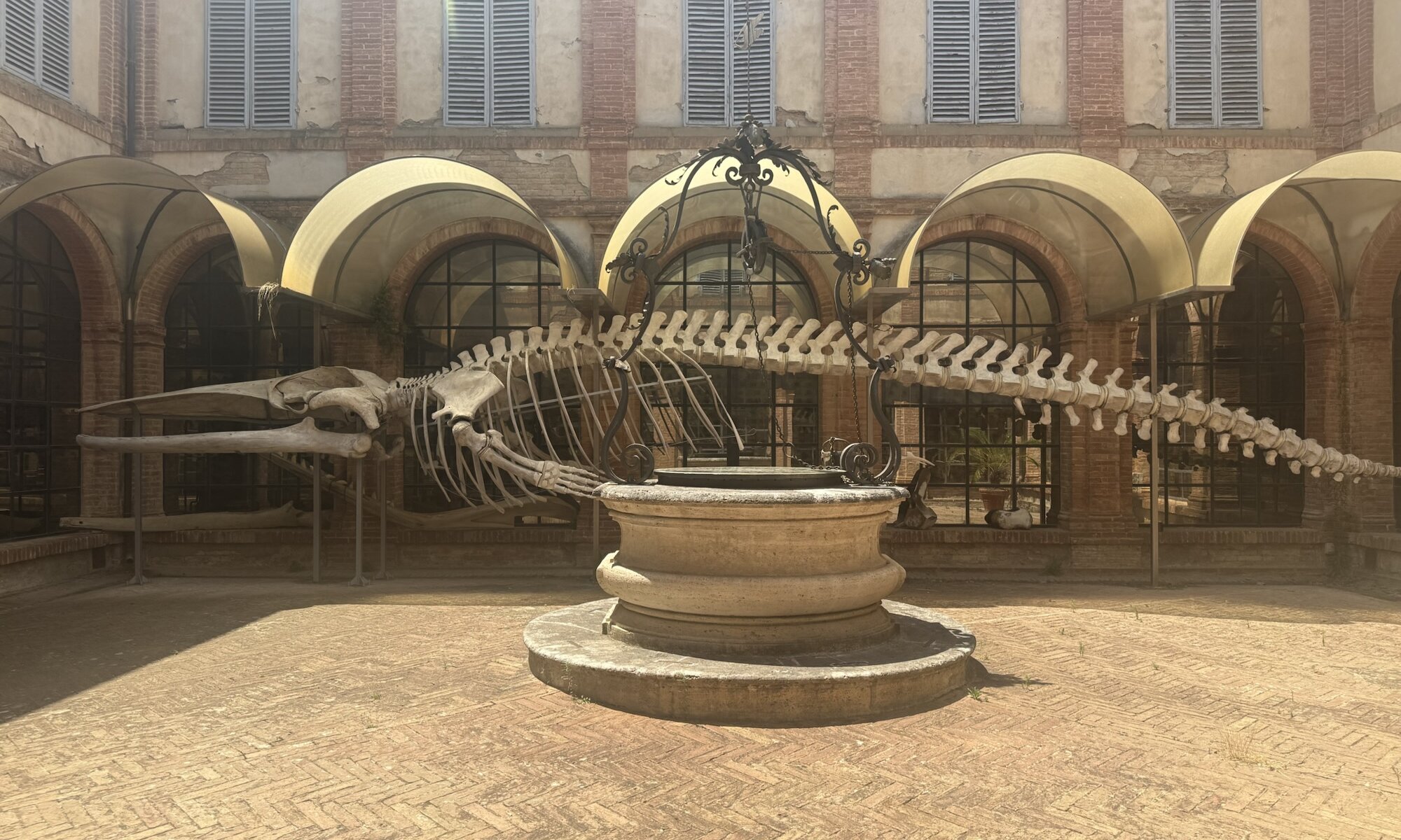Musei dell’Accademia dei Fisiocritici, Siena