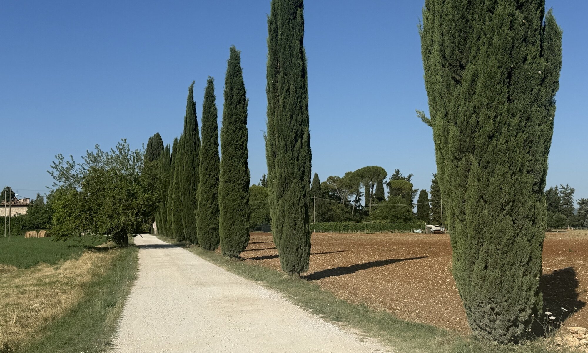 Strade bianche, Toscana
