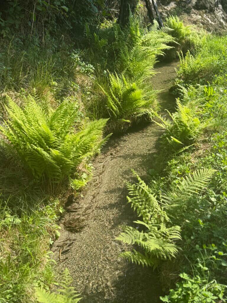 Kuenser Waalweg, Tirolo