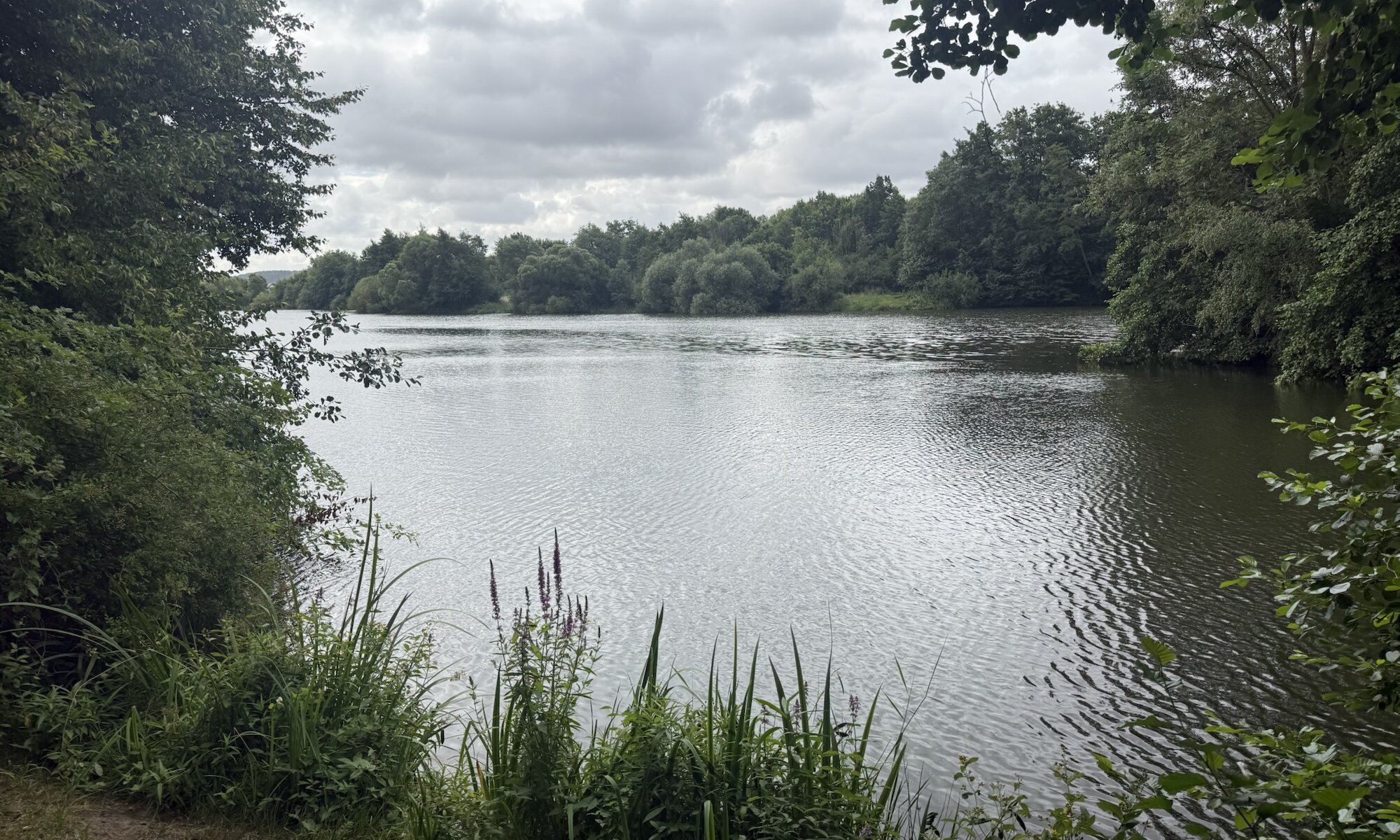 Oderparksee, Hattorf am Harz
