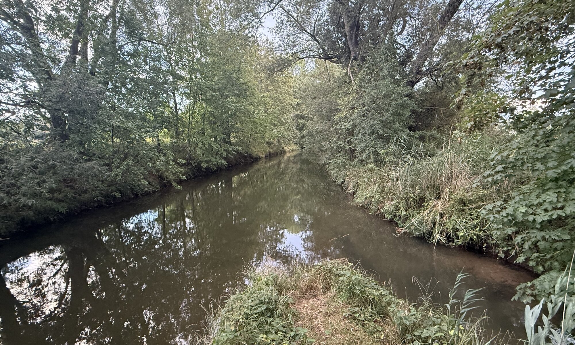 Gartemündung, Friedland/Rosdorf