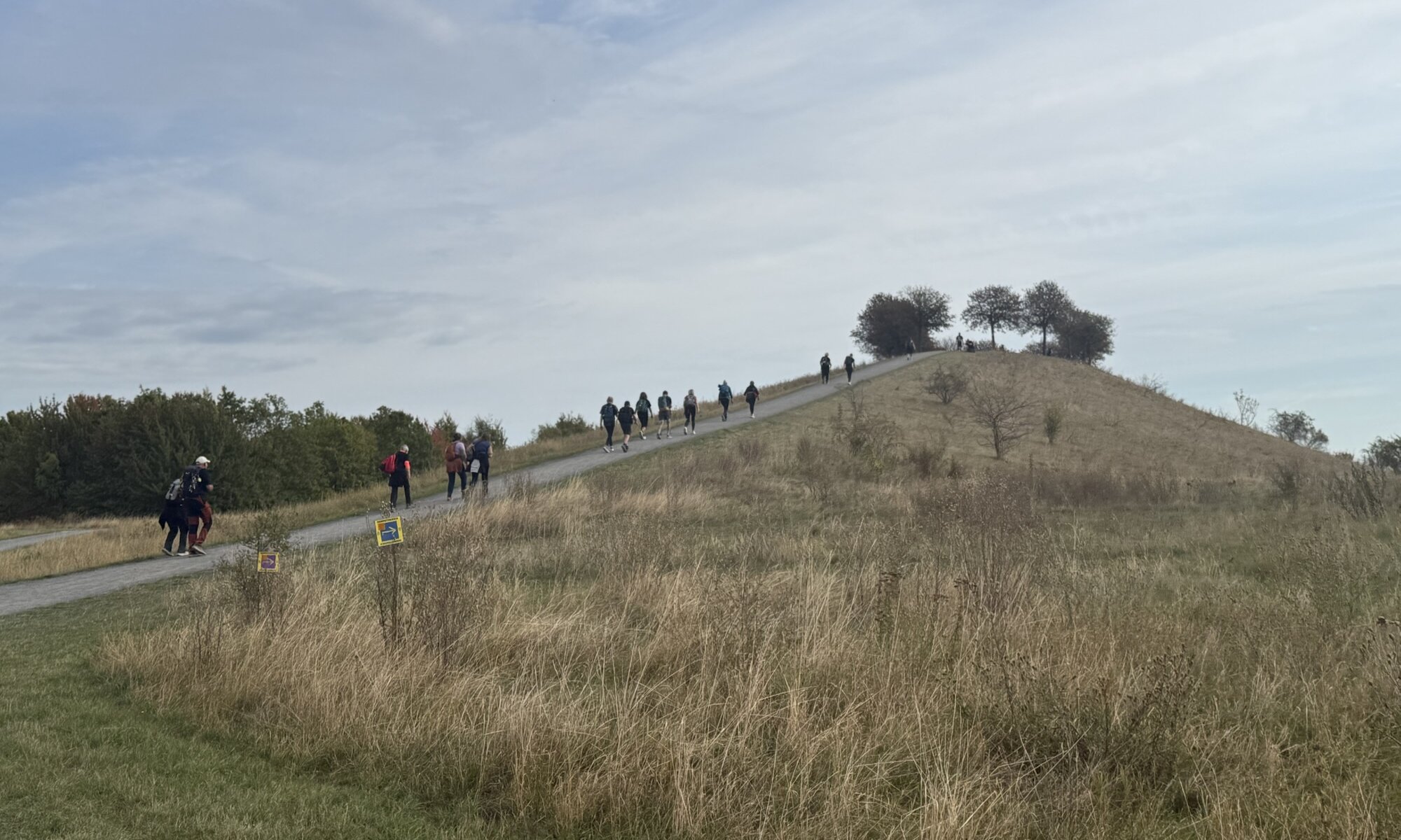 Aussichtspunkt Kronsberg-Nord, Hannover